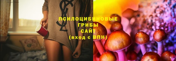 спайс Алзамай