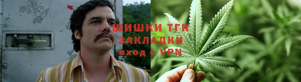 амф Алексеевка