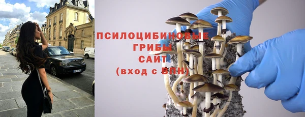 спайс Алзамай